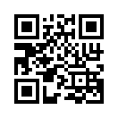 QR CODE 53