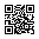 QR CODE 1393