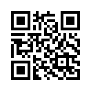 QR CODE 461