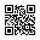 QR CODE 514