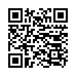 QR CODE 31