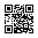 QR CODE 31