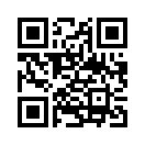 QR CODE 42