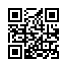 QR CODE 1528