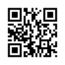 QR CODE 1529