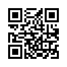 QR CODE 1533