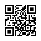 QR CODE 1538