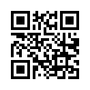 QR CODE 31
