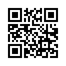 QR CODE 53
