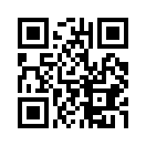 QR CODE 110