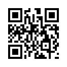 QR CODE 91