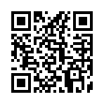QR CODE 17