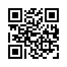 QR CODE 31