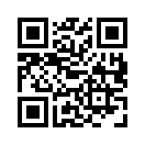 QR CODE 91