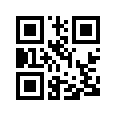 QR CODE 336