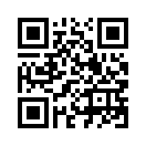 QR CODE 228