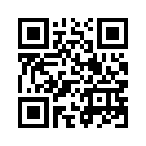 QR CODE 245