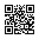 QR CODE 110