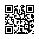 QR CODE 13