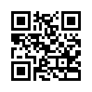QR CODE 28