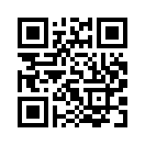 QR CODE 336