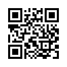 QR CODE 394