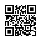 QR CODE 42