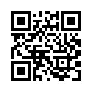 QR CODE 447