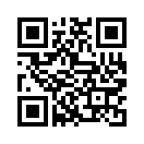 QR CODE 2838