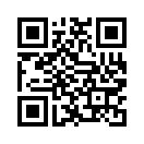 QR CODE 2863