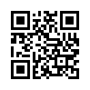 QR CODE 2901