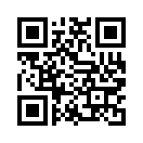 QR CODE 2911