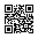 QR CODE 3009