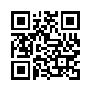 QR CODE 3010