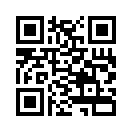QR CODE 2313
