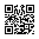 QR CODE 2381