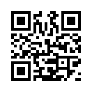 QR CODE 2541