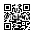 QR CODE 2891