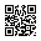 QR CODE 2901