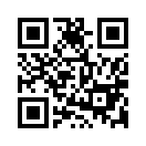 QR CODE 2934