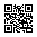 QR CODE 3010