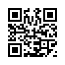 QR CODE 3051