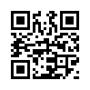 QR CODE 3060