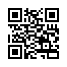 QR CODE 3133