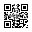 QR CODE 3338