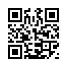 QR CODE 3343