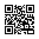 QR CODE 3893