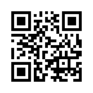 QR CODE 110