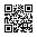 QR CODE 133
