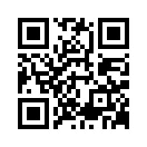 QR CODE 31